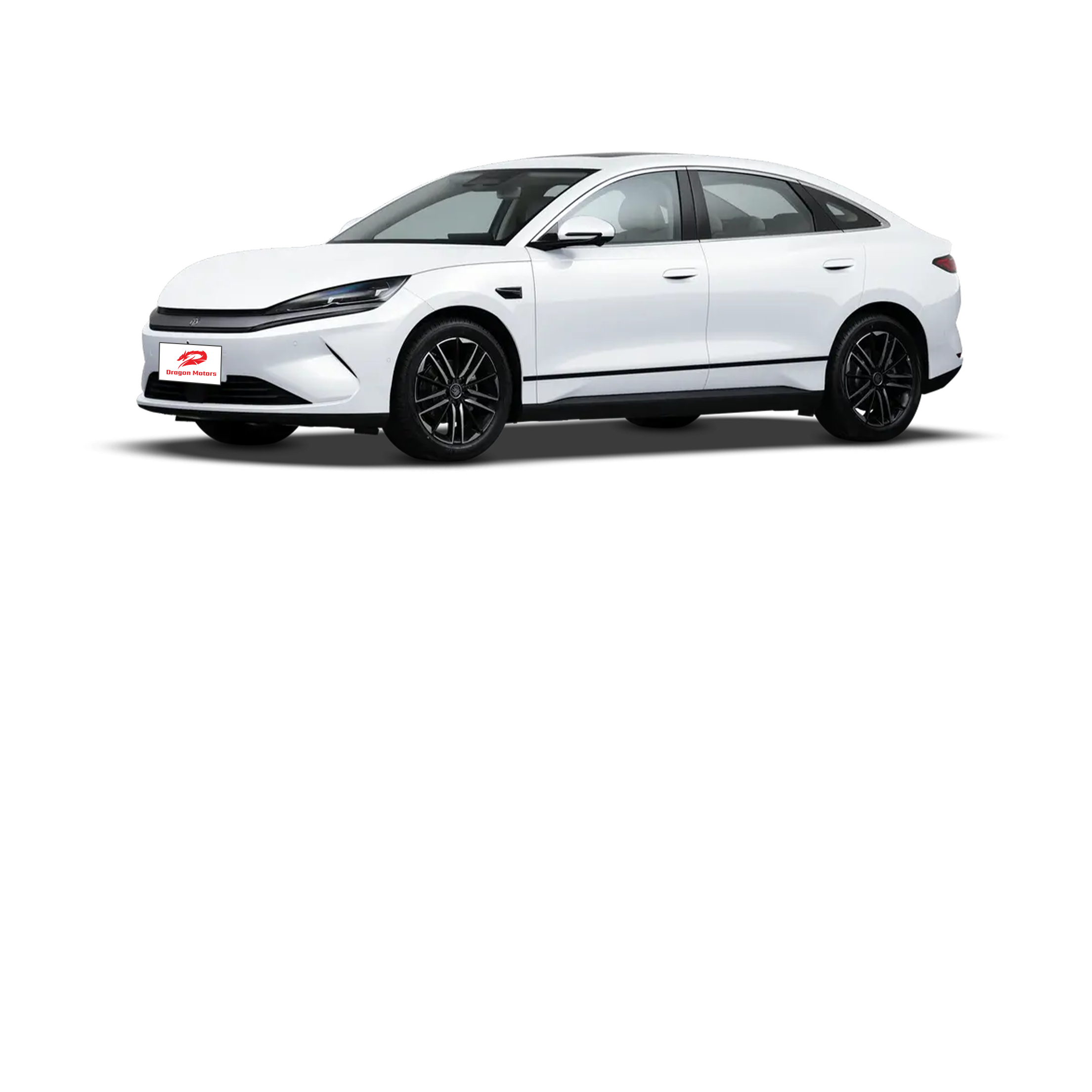 Qin L EV 2025 545KM Cloud Carriage Type